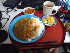 今日の夕食