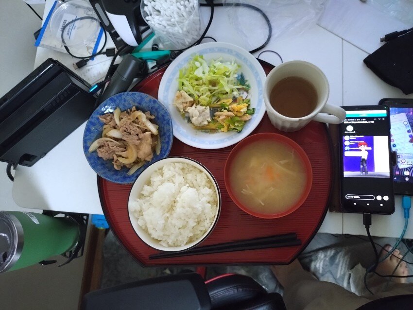 本日の夕飯