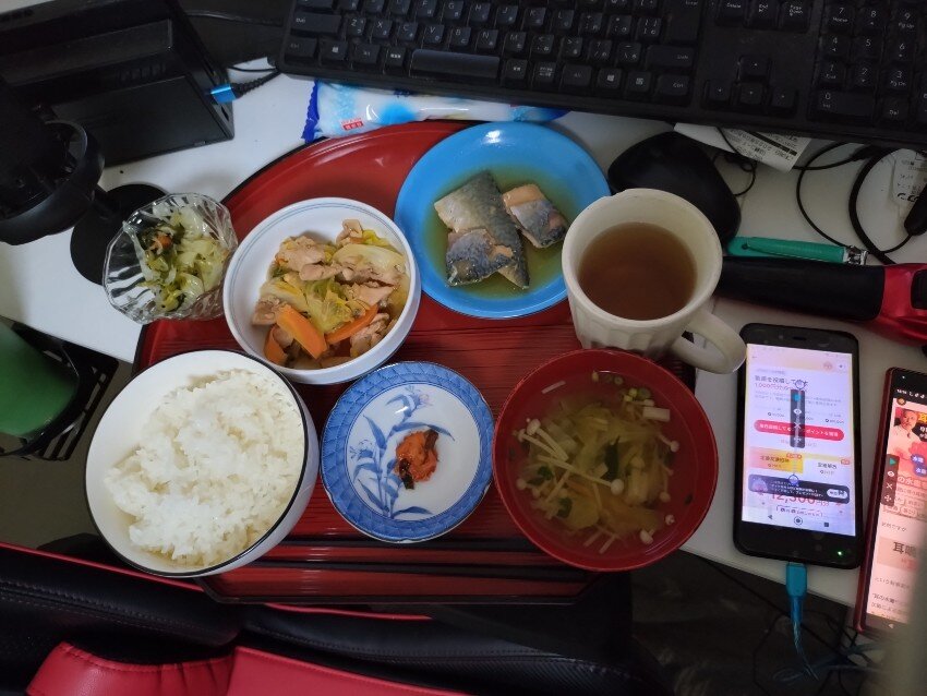 本日の夕飯