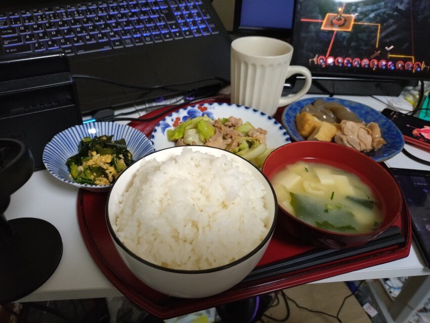 本日の夕飯