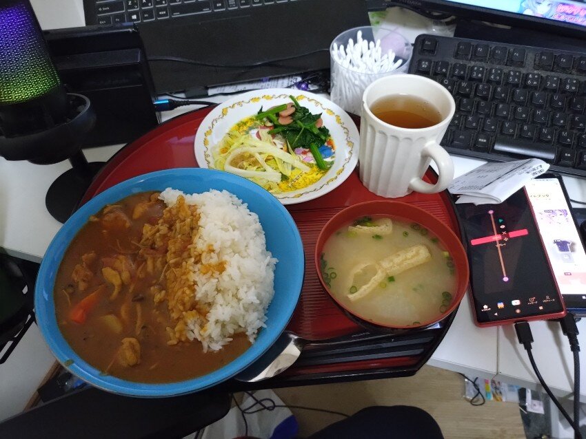 本日の夕飯